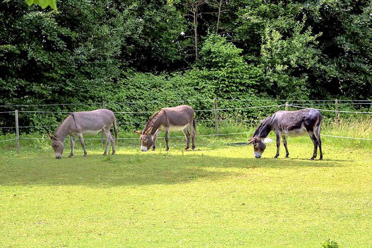 B&B Landgoed Rijckholt Geersdijk Eksteriør bilde