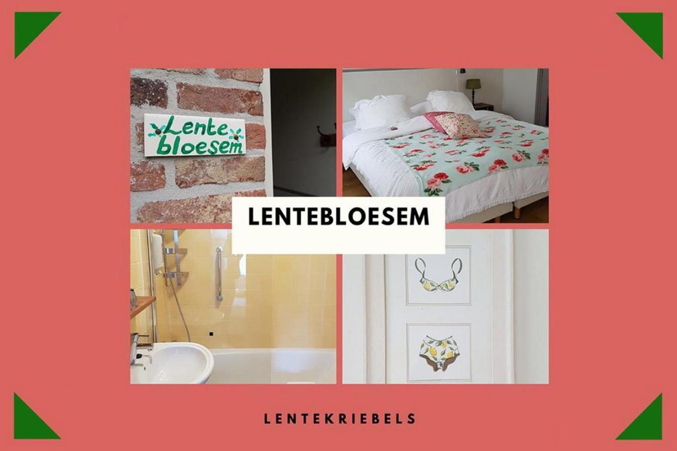 B&B Landgoed Rijckholt Geersdijk Rom bilde